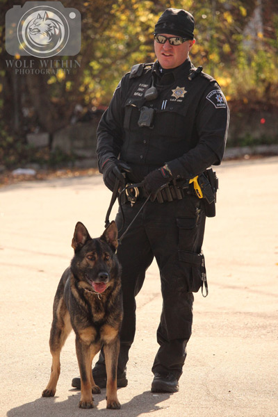 Photo Gallery – Southern Police Canine, Inc.